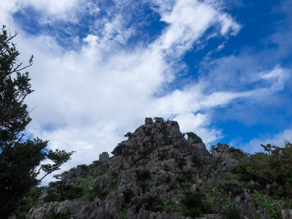 やんばるの大迫力パワースポット「大石林山」でトレッキング | ODAY