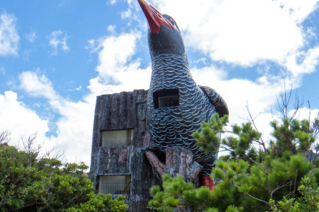 ヤンバルクイナ展望台