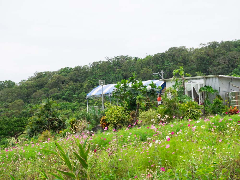 Kuu cafe 全景