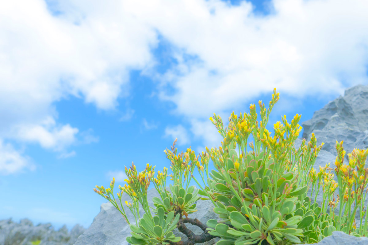 過ごしやすい気候