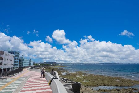 晴れた日の宮城海岸