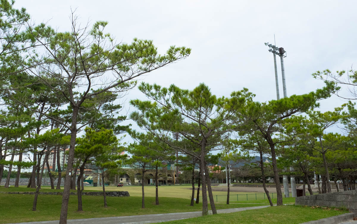 21世紀の森ビーチ 広大な公園にある名護市民の憩いの場 Oday