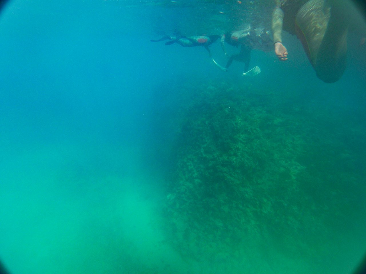 マリブビーチ でシュノーケル 青の洞窟近くで冬にもおすすめ Oday