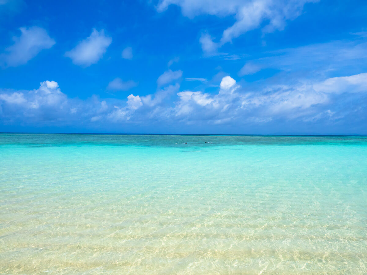 美しいエメラルド色