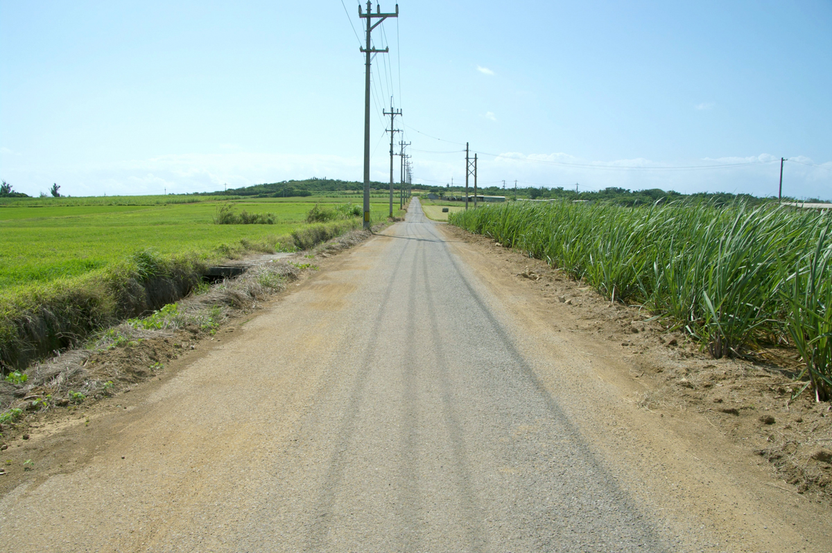 シュガーロード