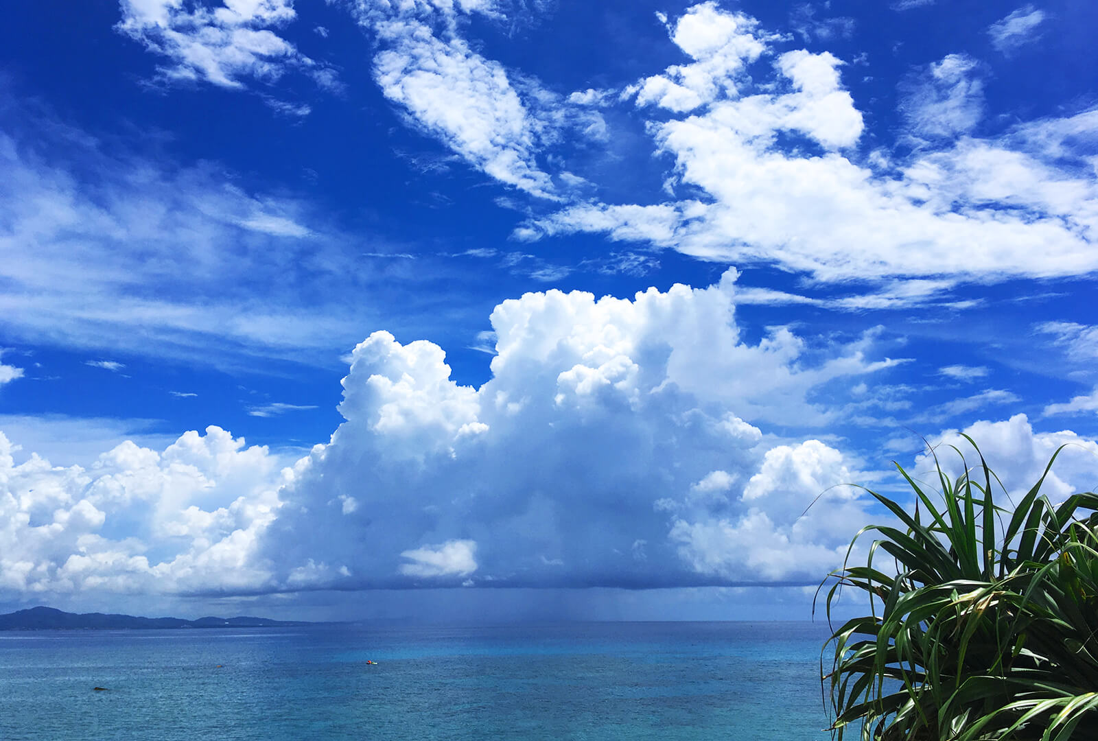 夏が似合う沖縄の海