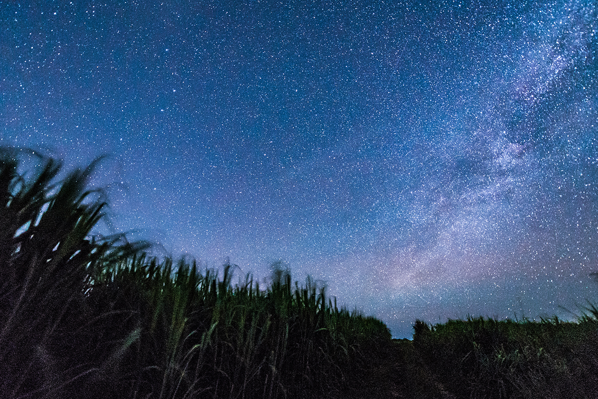 満天の空に息をのむ 星空フォトツアー 沖縄の美しい夜空に最高の旅の思い出を Oday