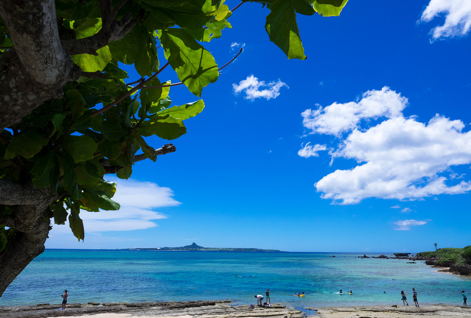 沖縄旅行のq A よくある質問集 Oday