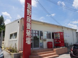 宜野座養殖場