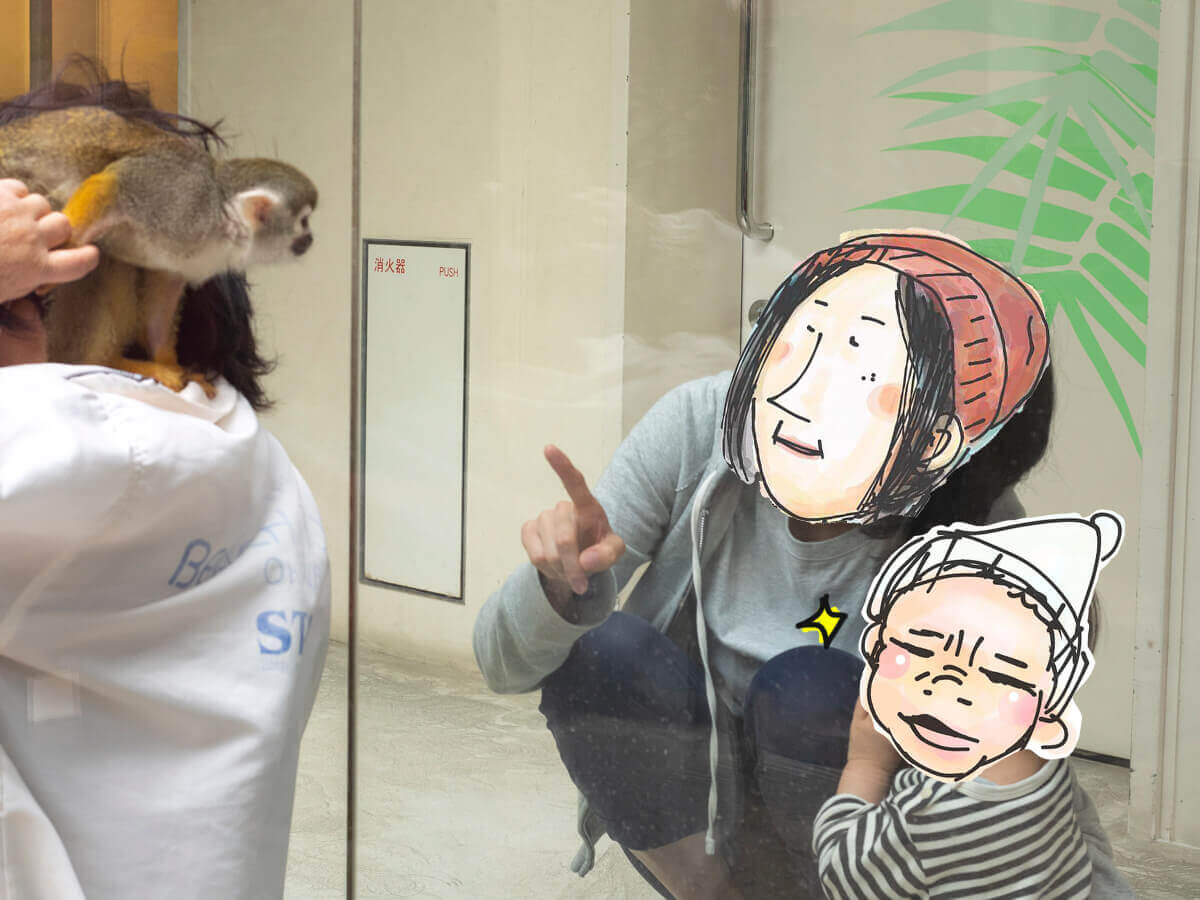 ザ・ビーチタワーのふれあい動物園